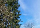 IMG-20260314-WA0003