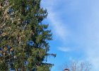 IMG-20260314-WA0007