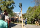 DSC 5678