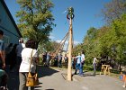DSC 5698