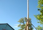 DSC 5752