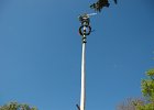 DSC 5757