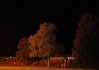 DSC 6531