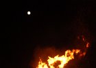 DSC 6540